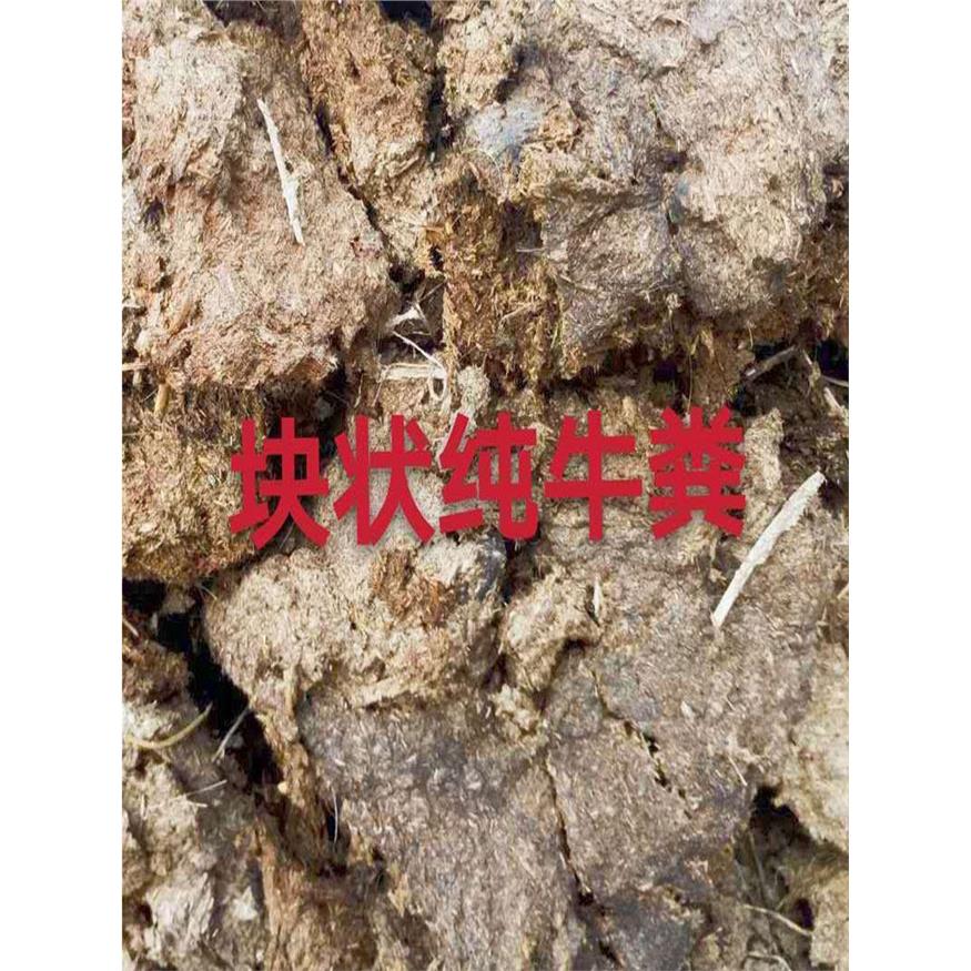 包邮纯牛粪农家肥种花种