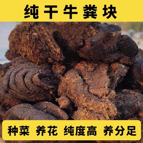 纯牛粪块发酵有机农家肥