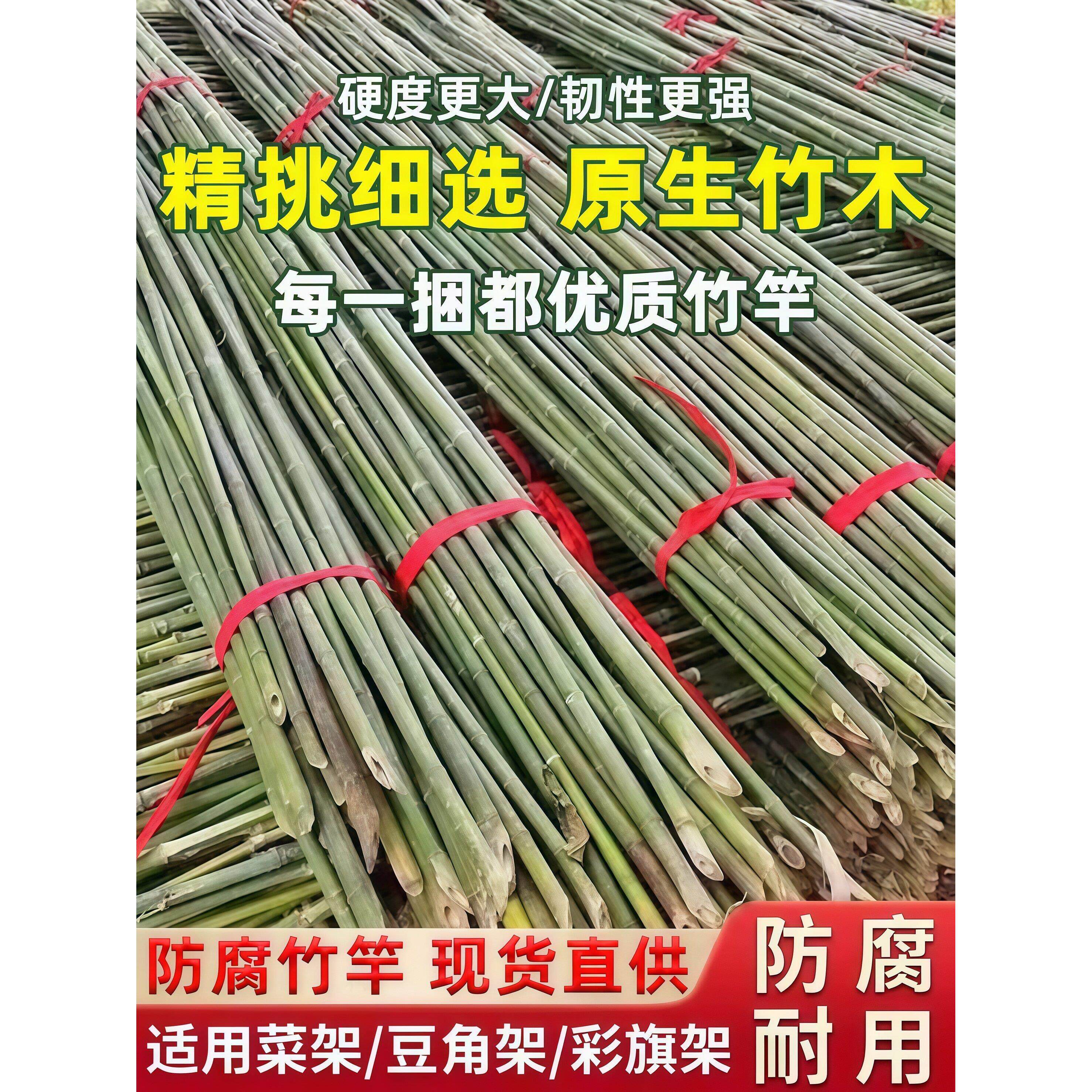 竹竿菜园搭架花园蔬菜架竹杆围栏户外毛竹篱笆防腐耐用彩旗杆竹棍