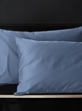 纯棉枕套100全棉一对装48cmx74cm单人蓝色枕头套一只装家用单个