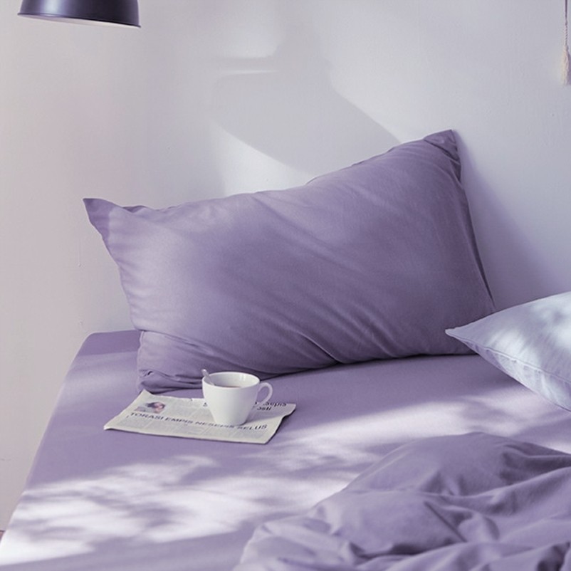 整头枕头套48cmx74cm一对装中号40x60纯棉贡缎白色单独枕套家用