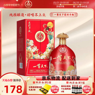 五.粮.液股份 一尊天下52度浓香型白酒送礼长辈999ml 端午礼盒