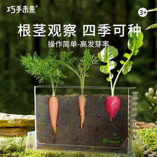 阳光房种植儿童小盆栽套装幼儿园小学生种菜农场植物观察窗盒玩具