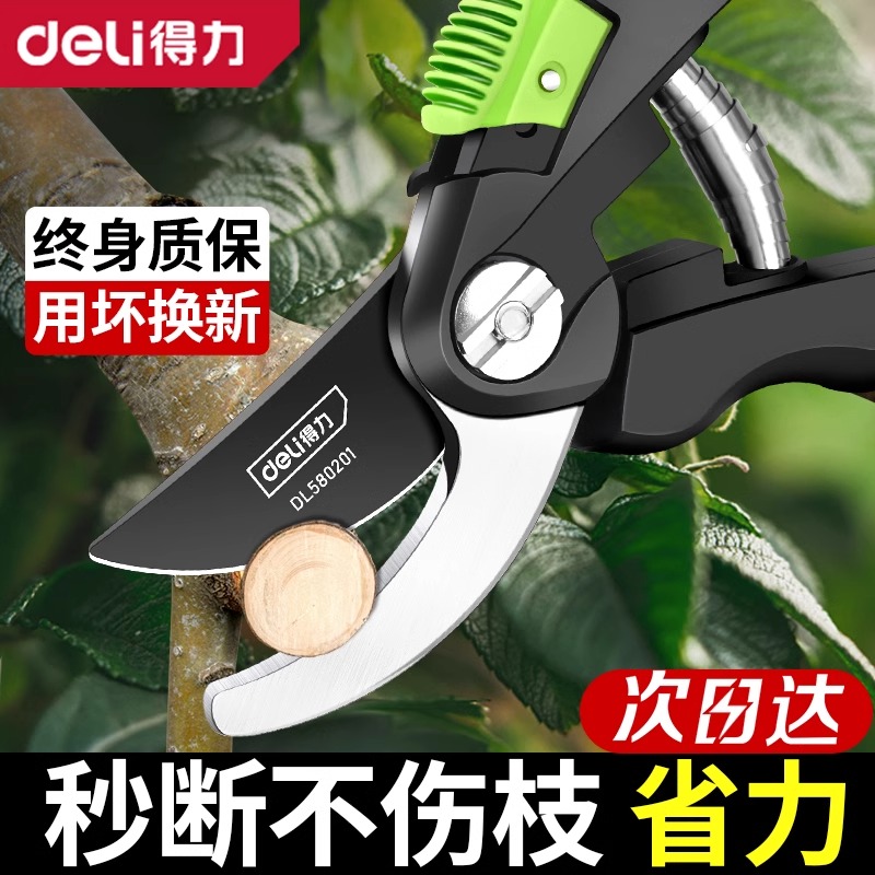 得力修枝剪园艺剪刀修剪树枝剪刀园林修剪果树修枝花艺修花大剪子