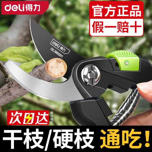得力园艺剪果树剪刀粗大花剪