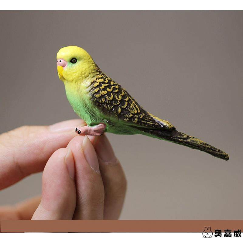 仿真动物 鸟类 蓝色鹦鹉 小鸟玩具塑料玩偶模型Figure摆件