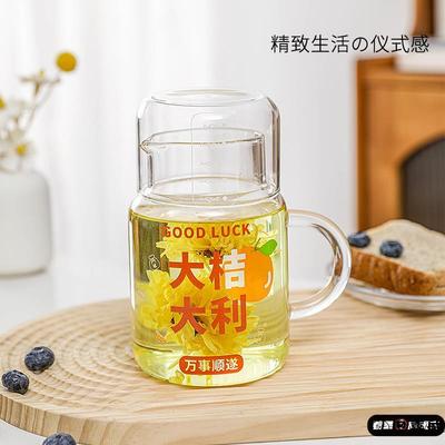 玻璃杯带盖家用水杯女高颜值个人专用2025办公室带把茶水分离杯子
