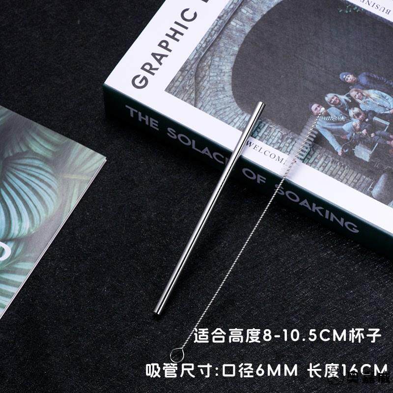 A. 직경 6mm16cm 직선 빨대 브러시