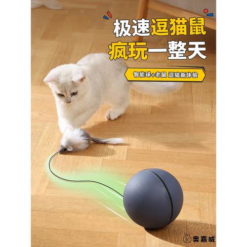 玩具解闷消耗体力老鼠运动电动猫
