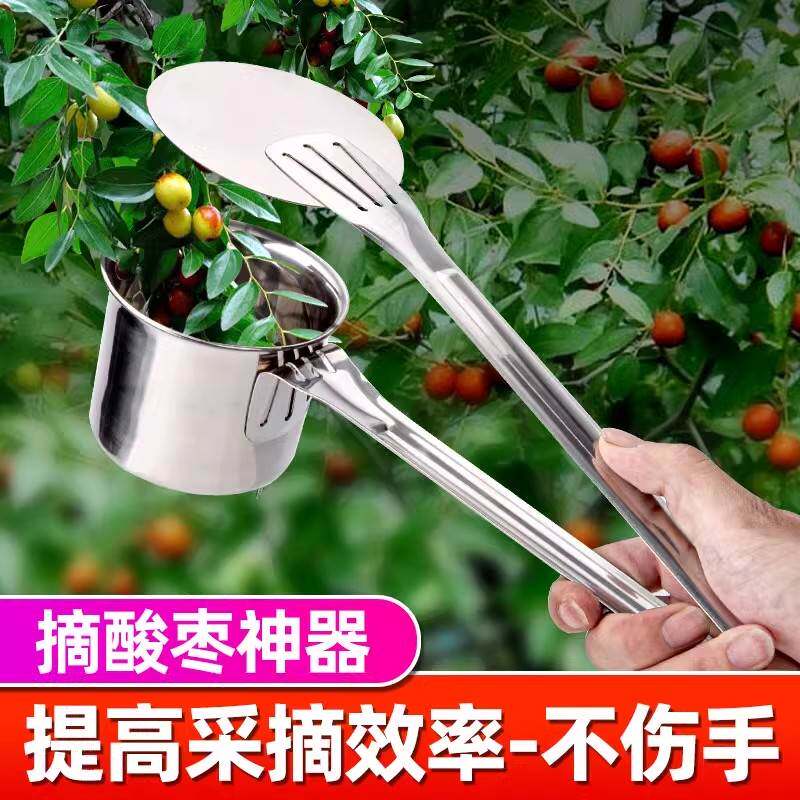 摘酸枣神器工具摘果器摘山枣小枣小果栗子摘枣加厚不锈钢2025新款