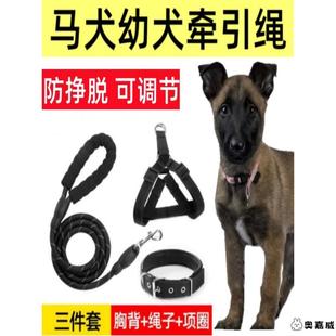 马犬幼犬专用牵引绳狗链小马犬大型犬背心式 项圈外出遛狗可调节