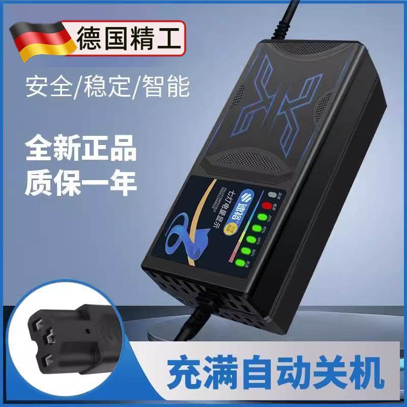 德国电动车电瓶充电器48v12ah60v20a72v爱玛雅迪石墨烯通用快充