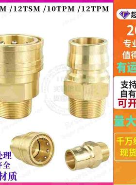 兼容10TSM 10TPM 10TSF 10TPF RD-10黄铜大流量模具快速接头DN32