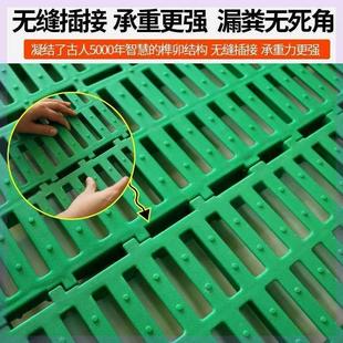 养羊专用漏粪板塑料羊床羊圈用铺垫羊床板养羊漏粪板羊圈加厚