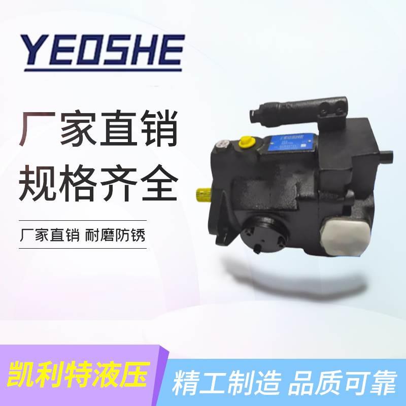 油昇变量柱塞泵 液压油泵 V15/V18/V23/V38/V42-A1/A2/A3/A4-R10X