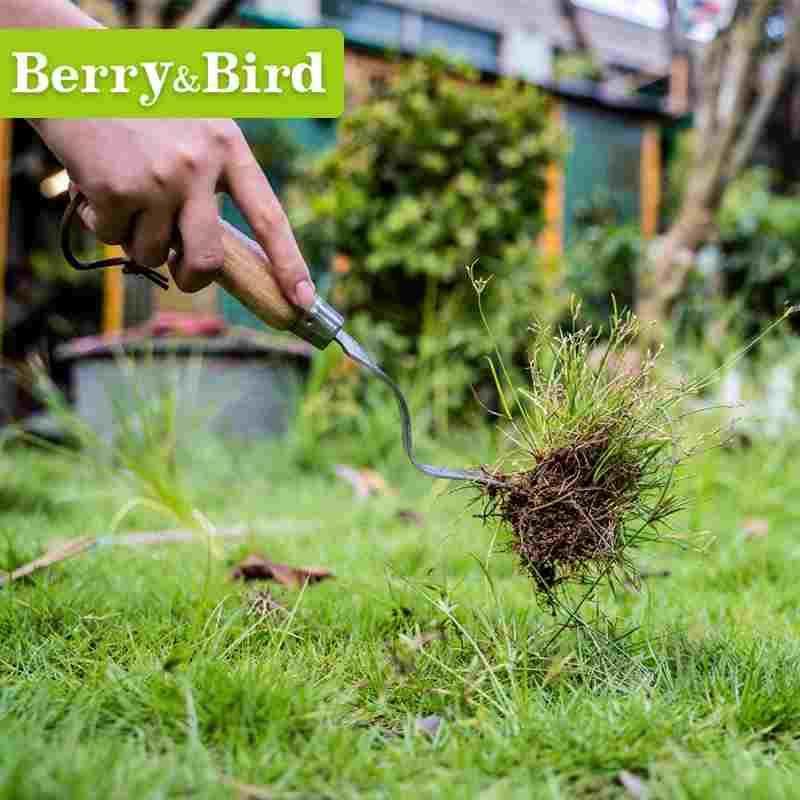BerryBird户外不锈钢拔草割草除草挖杂草种花bb花园园艺工具,手表,配件,淘宝优惠券,粉丝福利购,淘宝优惠卷