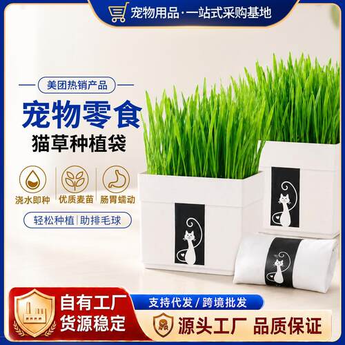 懒人猫草套装猫咪零食大麦苗种子浇水即种化毛球植物纤维猫用猫草