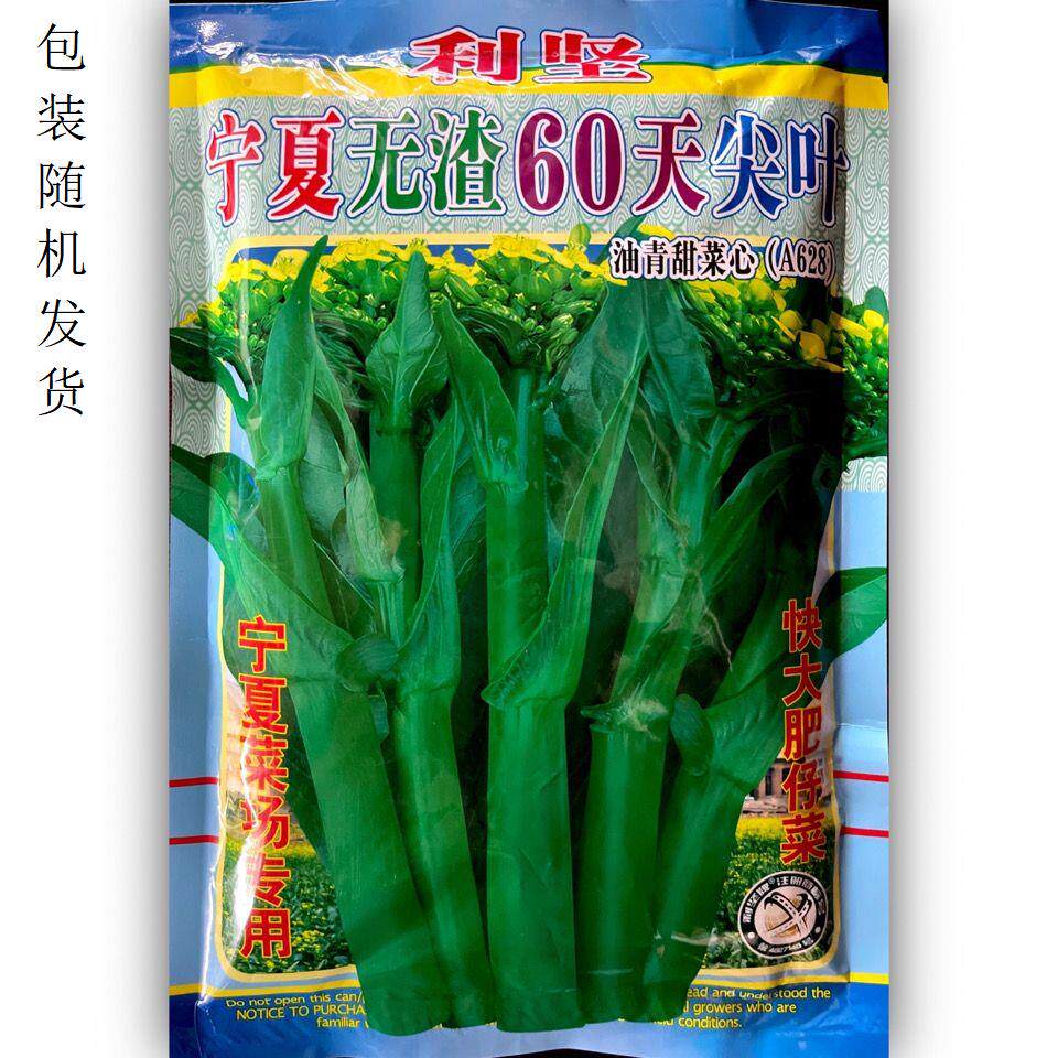 利坚宁夏无渣60天尖叶甜菜心油青快大种子肥仔菜整齐度好风味甜爽