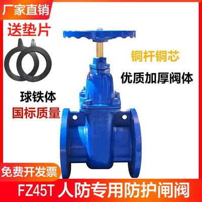 FZ45T人防专用防护闸阀 铜杆铜芯人防闸阀 球铁体闸阀 暗杆阀门