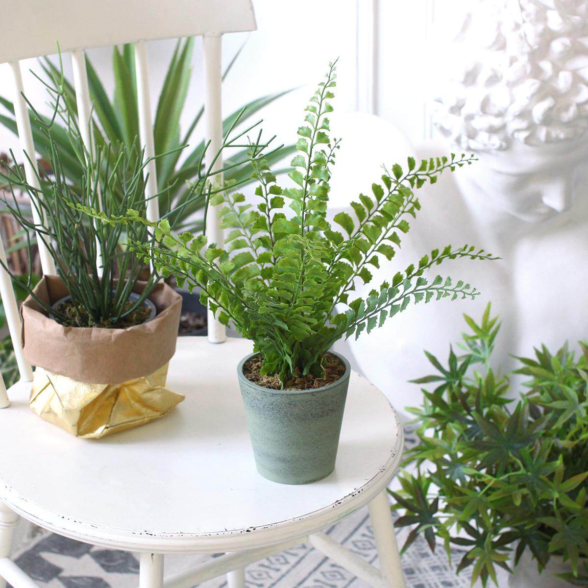 西西里仿真植物蕨草 基础款桌面绿植家居书柜隔板餐厅办公室摆件,家居饰品,仿真植物盆景,淘宝优惠券,粉丝福利购,淘宝优惠卷