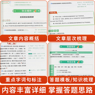 小学语文阅读理解一篇通专项训练书三四五六年级上册下册课内课外通读理解强化训练题小学生3-6每日一练阅读答题技巧真题图表解析