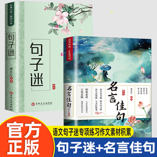 句子+名言佳句 名作大全打卡 好词好句好段好篇大全摘抄本手册小学生一年级二年级三四五六年级语文句子迷专项练习作文素材积累