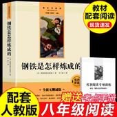 骆驼祥子经典 常谈全新正版 原著配套人教版 钢铁是怎样炼成 七年级八年级语文教材初中课外阅读书籍必读经典 文学名著阅读课程化丛书