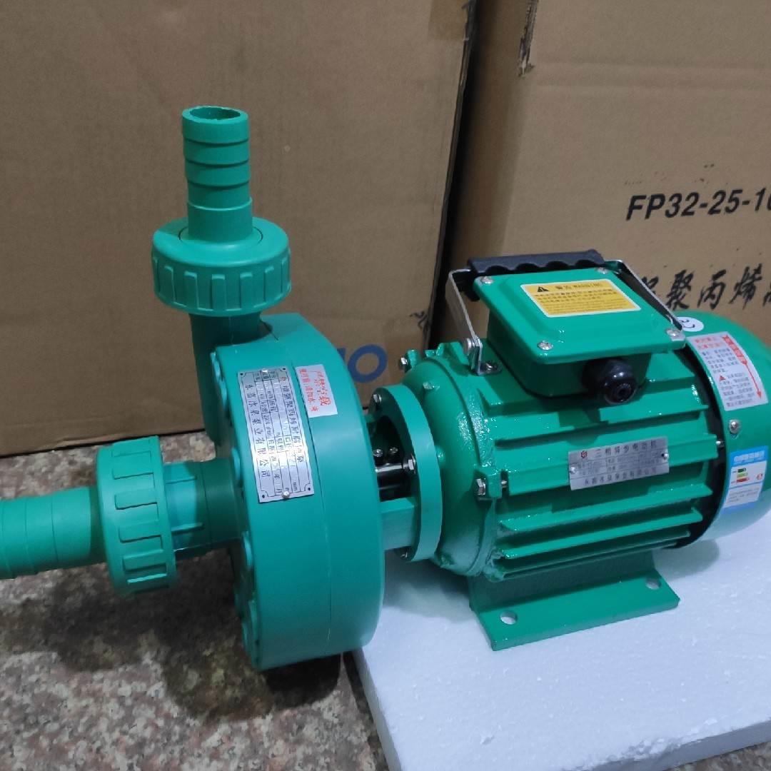 增强聚丙烯FP32-25-105 管接泵热熔泵化工泵耐酸碱泵化工泵加药泵