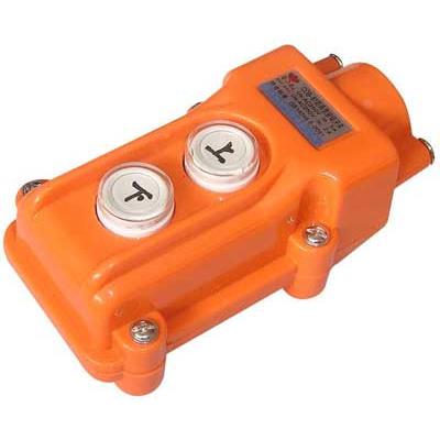 TNHA1-31 COB-31 两钮 防水型行车按  吊车起重控制开关(2钮) 银