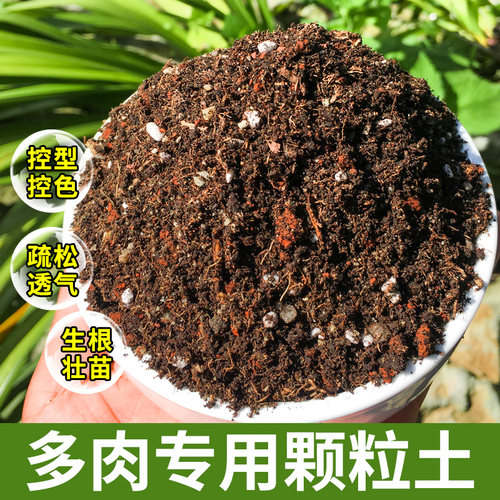 多肉土专用营养颗粒土铺面石透气