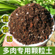 多肉土专用营养颗粒土植物通用大包透气泥炭土铺面石叶插种植土壤