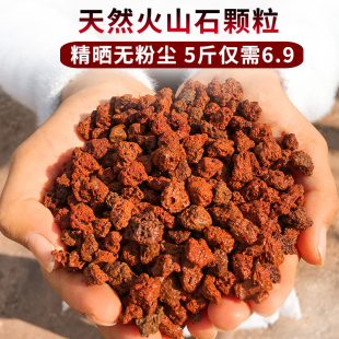 云南腾冲天然火山石颗粒火山岩兰花多肉铺面颗粒鱼缸净化水防烂根