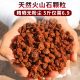 云南腾冲天然火山石颗粒火山岩兰花多肉铺面颗粒鱼缸净化水防烂根