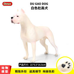 实心仿真动物模型杜高犬宠物狗狗阿根廷獒斗牛犬玩具摆件