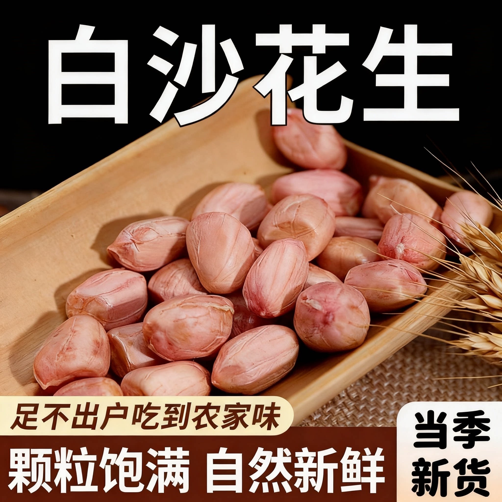 2026年新大白沙生花生米大颗粒白沙花生米农家自种新鲜饱满花生米