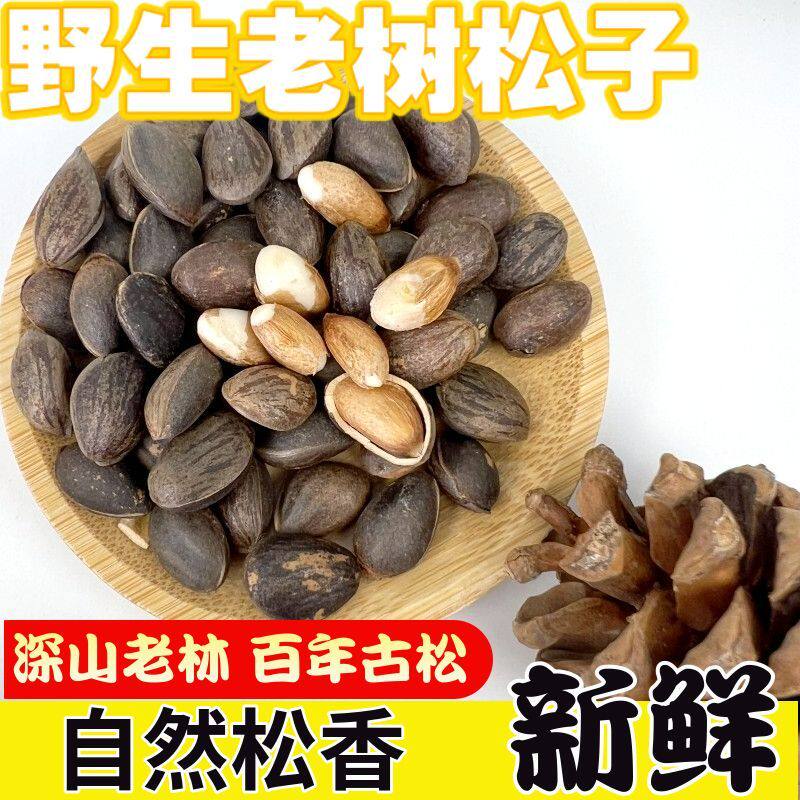 新鲜松子野生原味松子云南落水松新货大颗粒薄壳散装坚果松仁