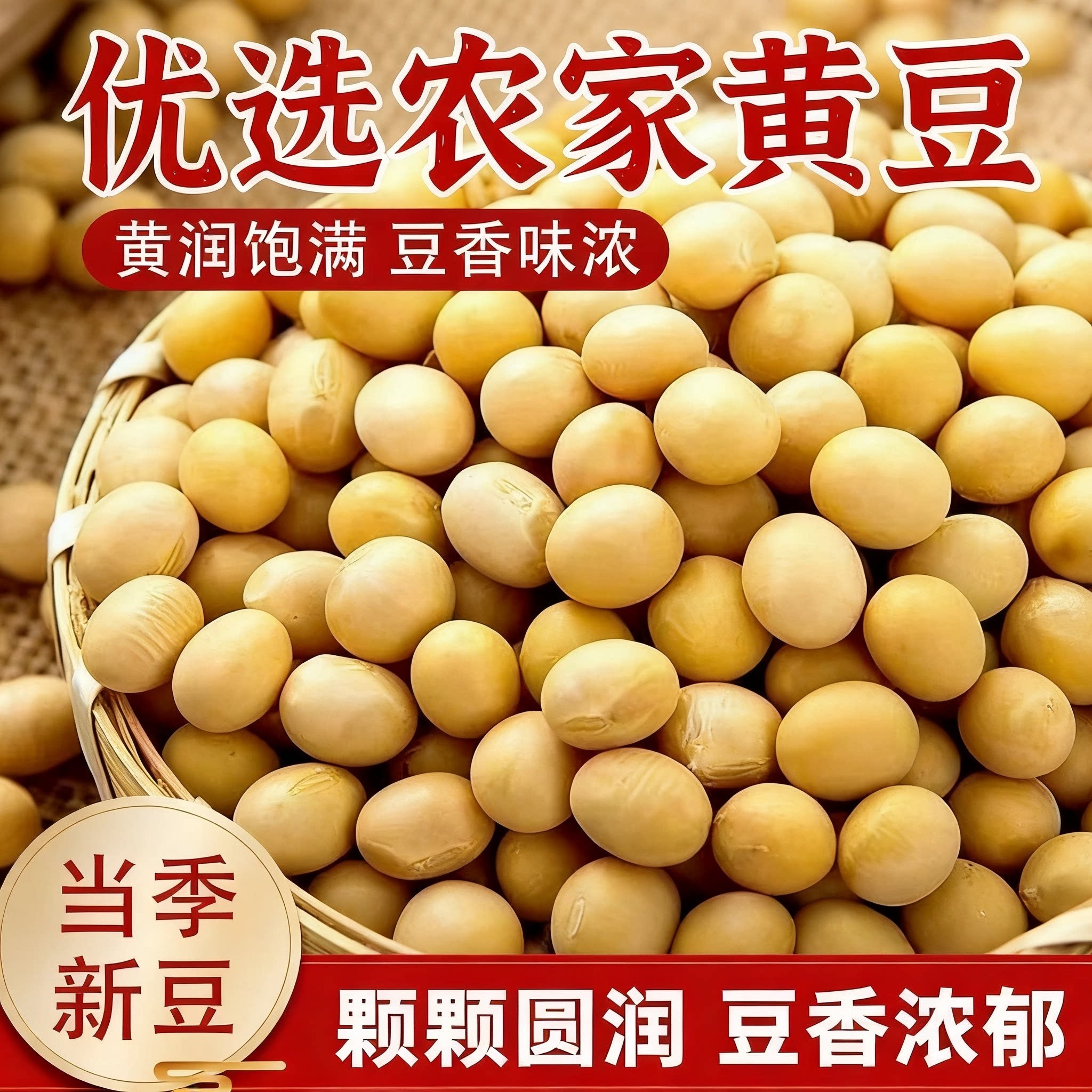 农家新货圆粒黄豆饱满豆浆发芽