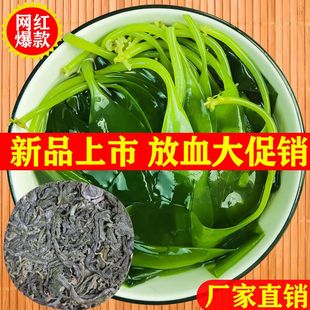 特级干货烘干压缩海带苗饼嫩非裙带菜即食泡发海带片海带嫩苗无盐