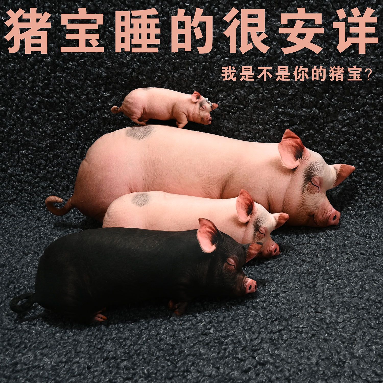 新款超萌可爱猪猪毛绒玩具搞笑睡姿萌翻仿真动物丑萌抱枕玩偶
