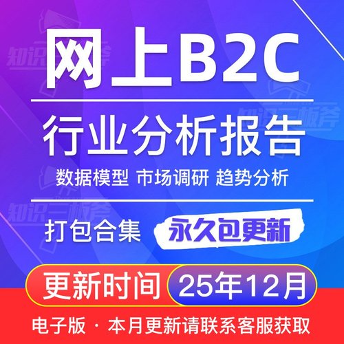 中国网上零售B2C 跨境 企业电商行业市场调查分析报告 G137