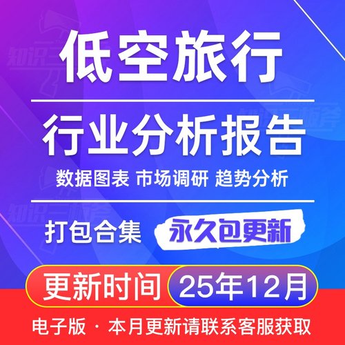 2025年 低空旅行 低空经济 市场行业分析报告合集