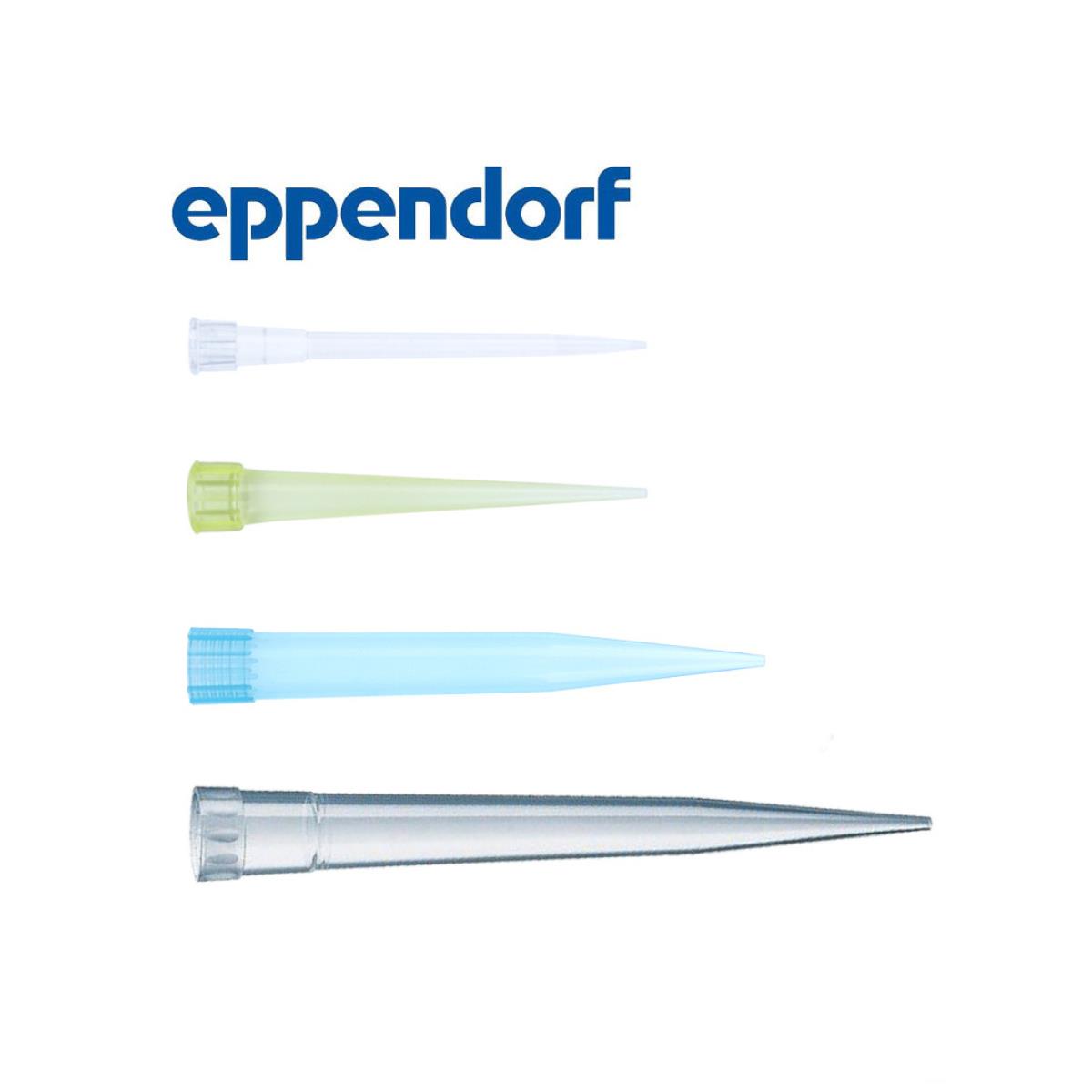 移液器吸头20/200/300/1000/1250/5000ul/1-10ml Eppendorf移液枪