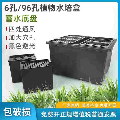 实验室植物水培盒水稻小麦培育秧盒6孔/96孔组合黑色避光无土栽培