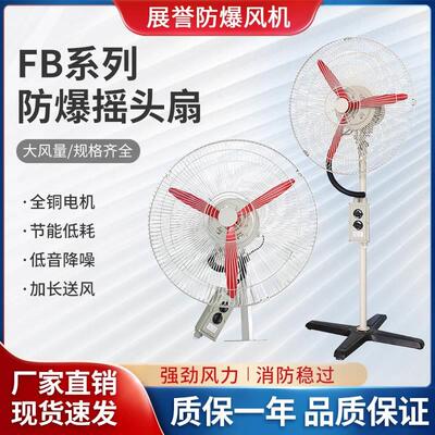 防爆摇头扇BTS FB-500工业防爆排风扇壁挂式落地扇牛角扇220V380V