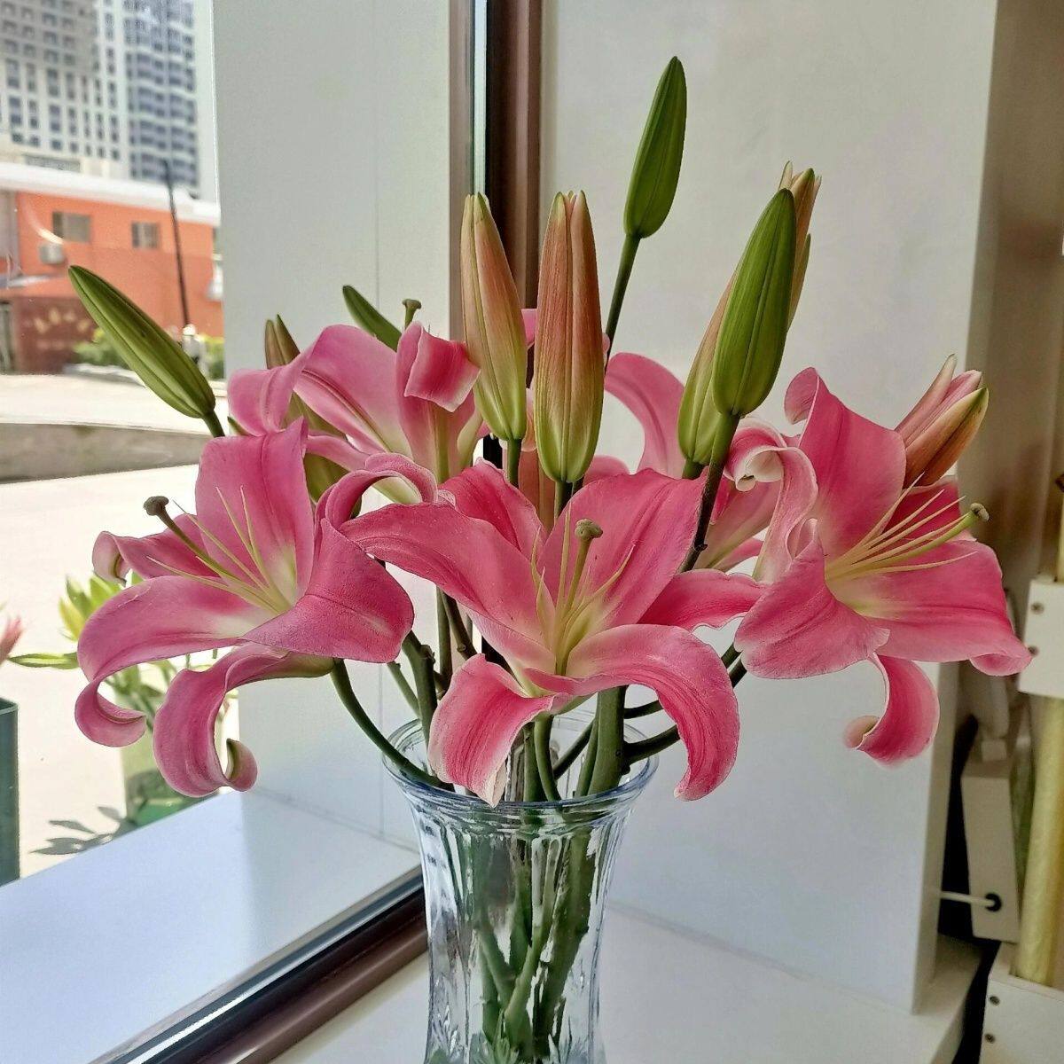 百合花鲜花云南基地直发玫瑰鲜切花批发水养客厅家居插花装饰摆件