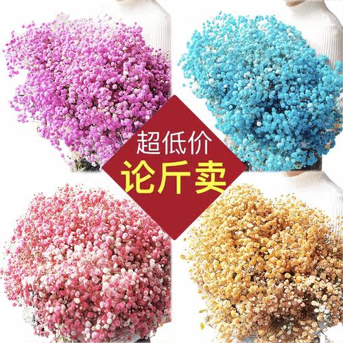 满天星干花花束真花装饰摆件