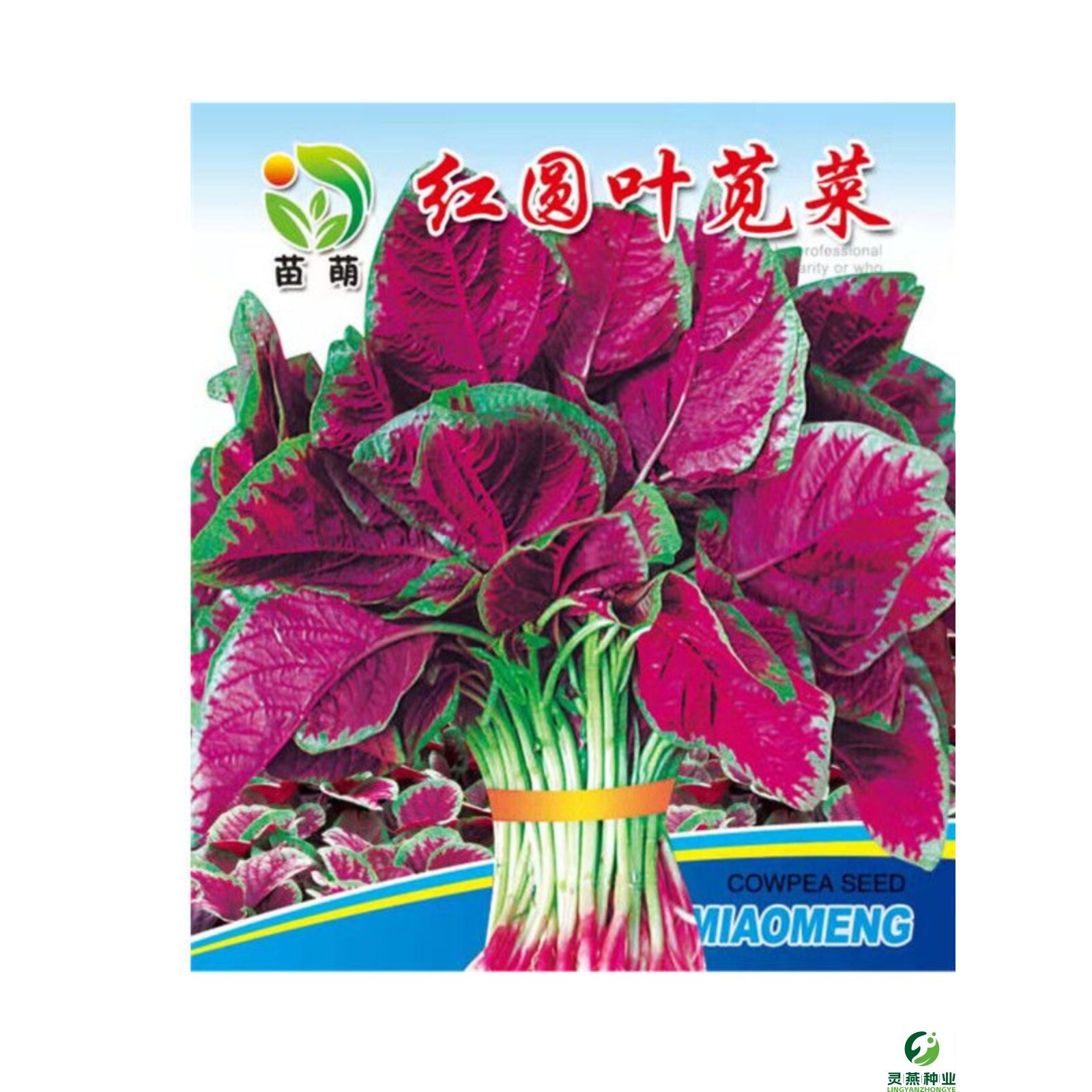 苋菜种子红圆叶红柳叶青柳叶苋菜种籽四季播田园农家汉菜蔬菜种子