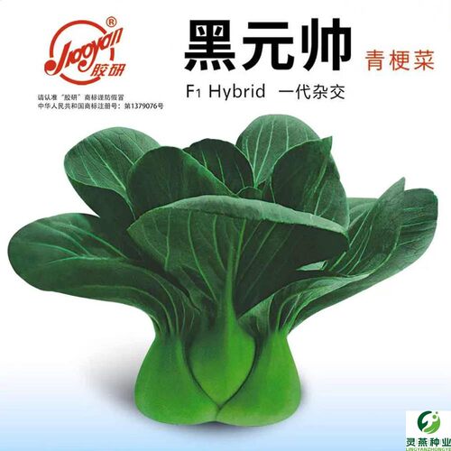 黑元帅青梗菜种籽上海青种孑蔬菜籽四季秋冬种子苏州青小白菜孑叶