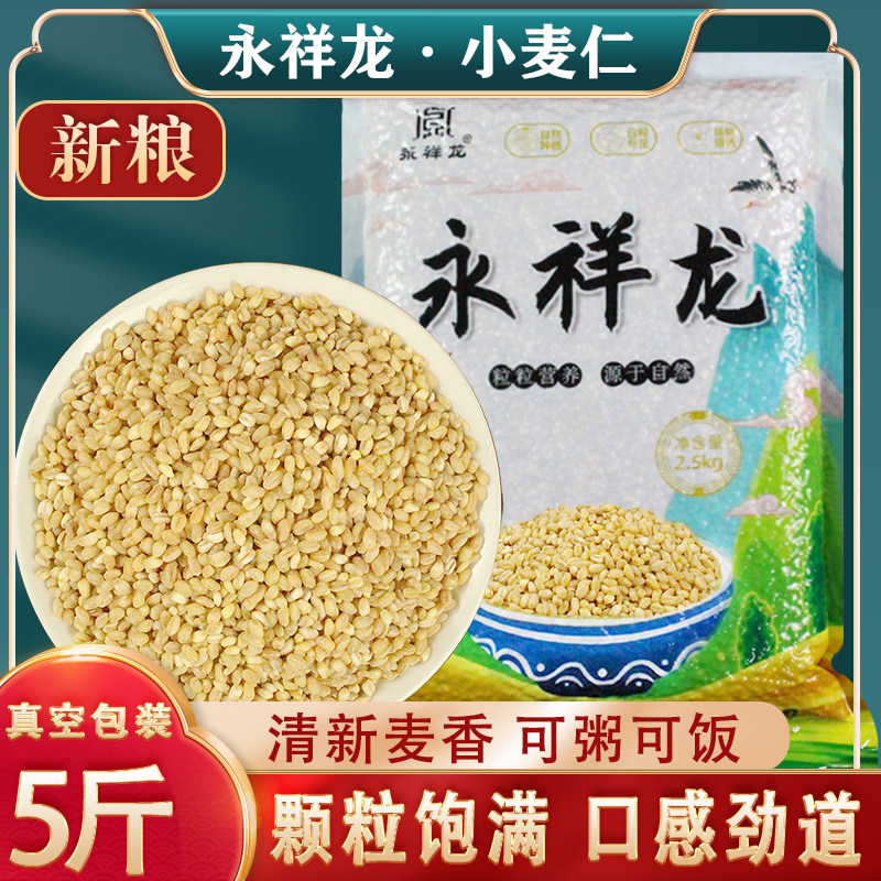 25年永祥龙麦仁米小麦仁米新米去皮脱壳带胚芽煮粥煮饭米真空包装