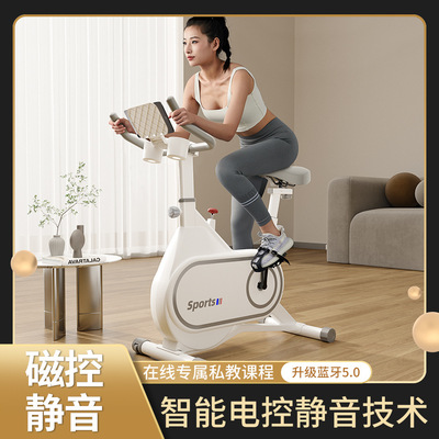 汗马智能磁控动感单车家用减肥运动器材静音mini室内自行车健身车